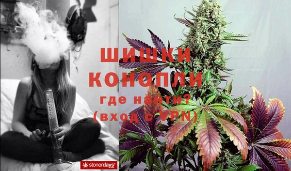 гашик Вязники