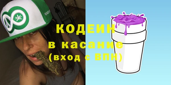 дурь Вяземский