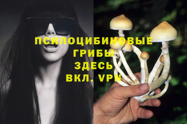 гашик Вязники