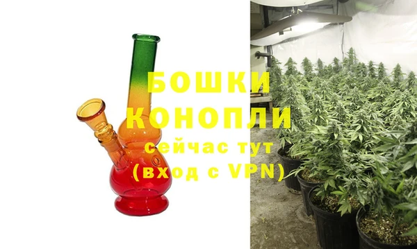 дурь Вяземский