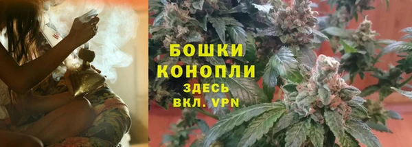 дурь Вяземский